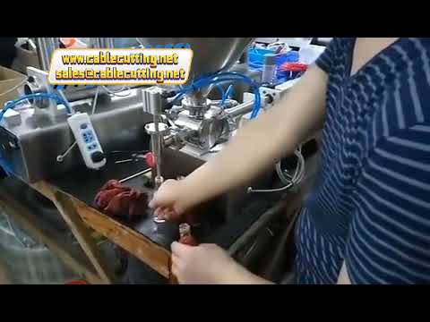 單頭/雙頭10ml-5000ml洗潔精、優格、醬料填充機｜高黏稠液體灌裝設備