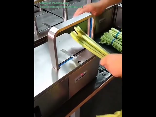 OPP 打包帶｜自動綑紮機專用彩色封口帶｜耐高溫熱封蔬菜綑綁帶