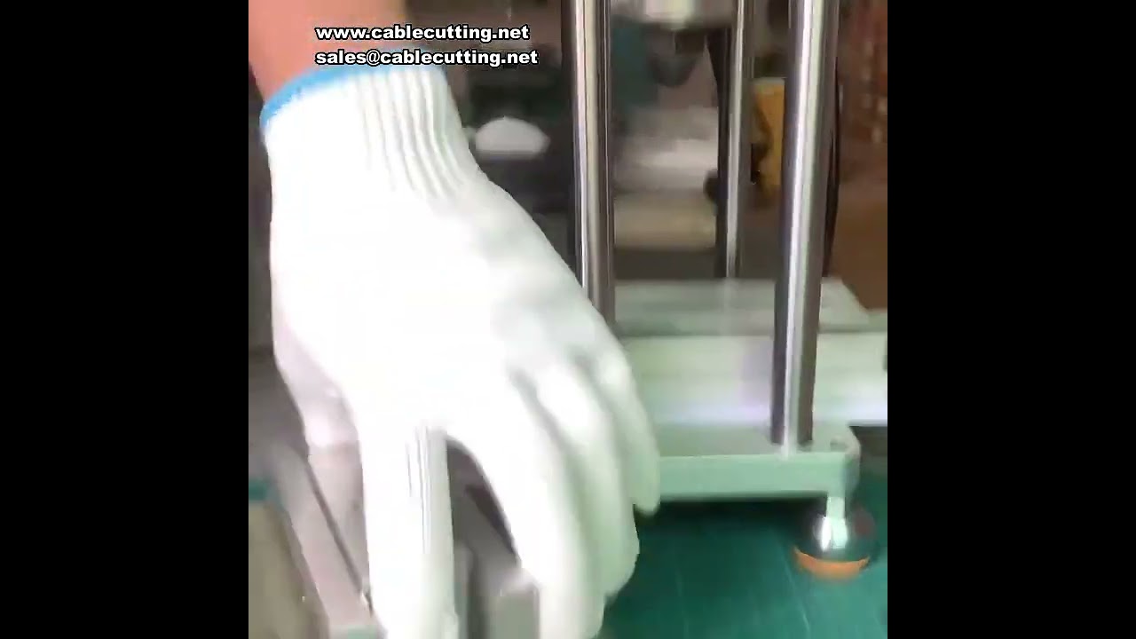 桌上型小型立式射出成型機 20g-30g｜110V/220V 電源開關插頭專用