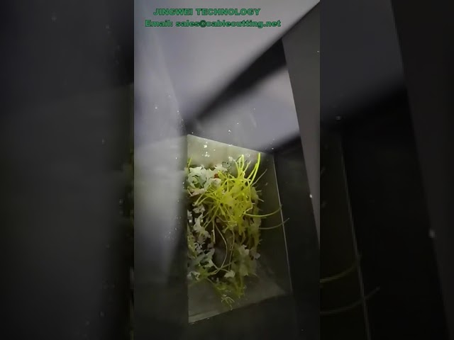220V 實驗室小型多功能塑膠粉碎機｜每小時10公斤｜高效塑膠回收