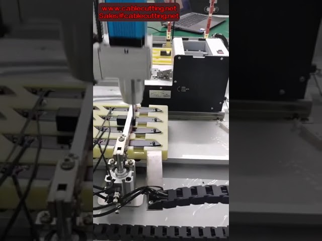 雙站自動鎖螺絲機｜伺服螺絲起子機器人｜自動送料系統高效組裝